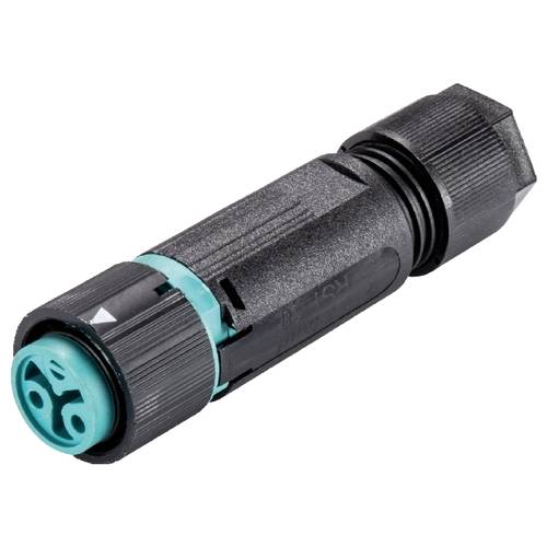 Wieland Electric 46.031.4951.6 Steckverbinder