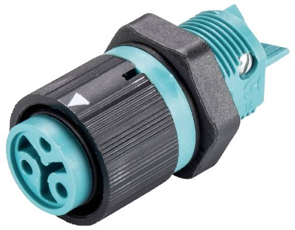 Wieland Electric 46.031.5050.6  Geräteanschluss