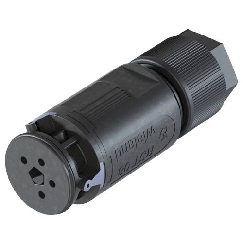 Wieland Electric 41.041.3041.4 Steckverbinder