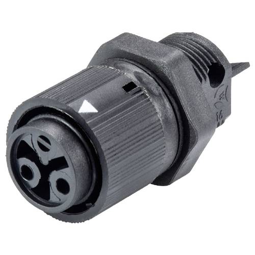 Wieland Electric 46.031.5054.1 Geräteanschluss