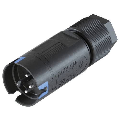 Wieland Electric 41.042.3043.9 Steckverbinder