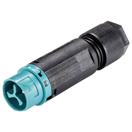 Wieland Electric 46.032.4550.6 Steckverbinder