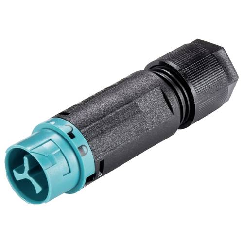 Wieland Electric 46.032.4951.6 Steckverbinder