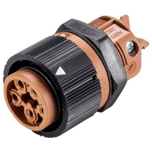 Wieland Electric 46.051.5051.4 Geräteanschluss