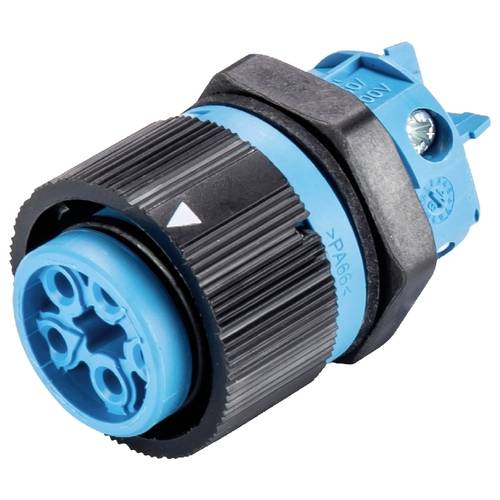 Wieland Electric 46.051.5053.9 Geräteanschluss