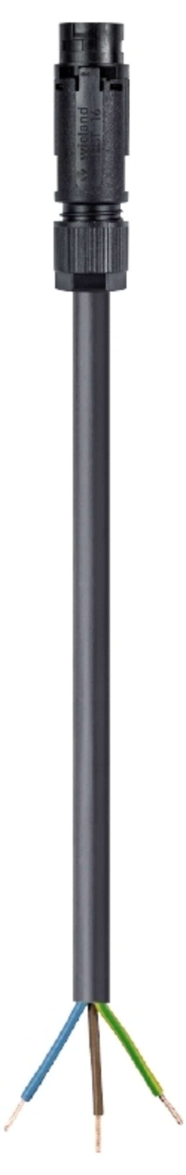 Wieland Electric 46.432.1064.1 Anschlussleitung Schwarz 1 m