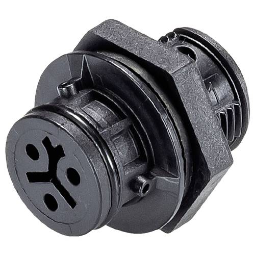 Thumbnail - Wieland Electric 4L.021.4043.1 Geräteanschluss