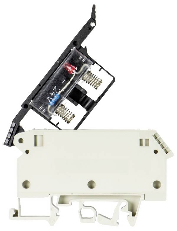 Wieland Electric 57.904.5555.0 Sicherungsklemme Schrauben Grau 50 St.
