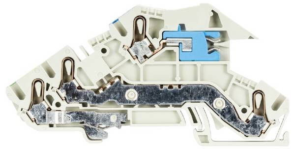 Wieland Electric 56.203.9553.0 Installationsklemme Steckanschluss 50 St.