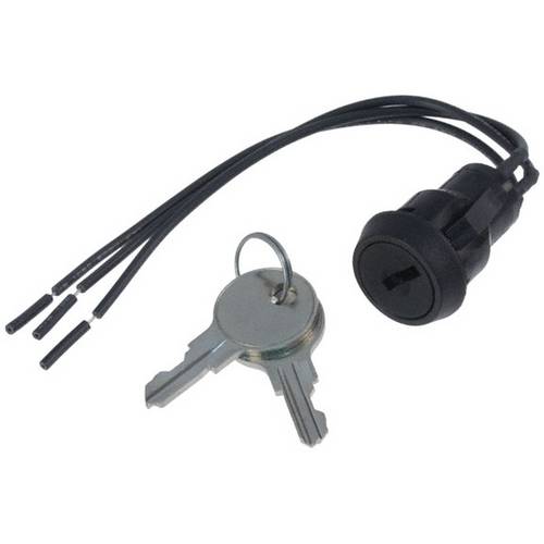 C & K Switches P101132CMWCG2 Switch lock P Series Schlüsselschalter 125 V/AC 4 A 1 x Ein/Ein 1 St.