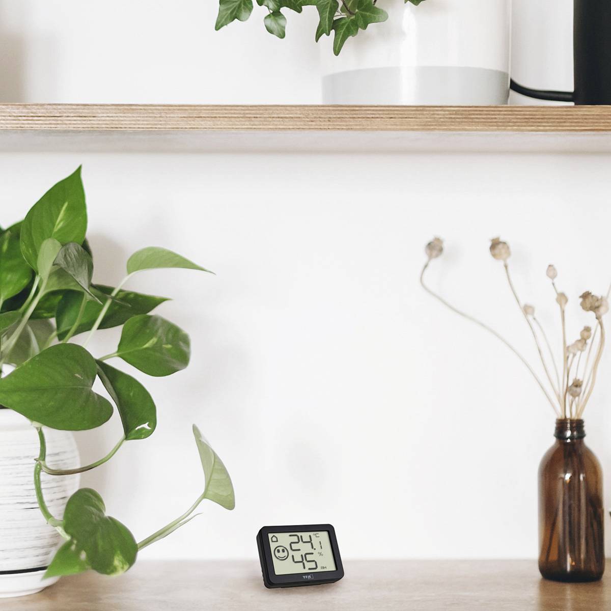 Ein digitaler Thermo-Hygrometer zeigt 24,1°C und 45% Luftfeuchtigkeit an; umgeben von Zimmerpflanzen auf Holzregalen.