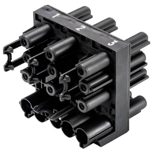 Wieland Electric 92.050.0153.1 Verteiler