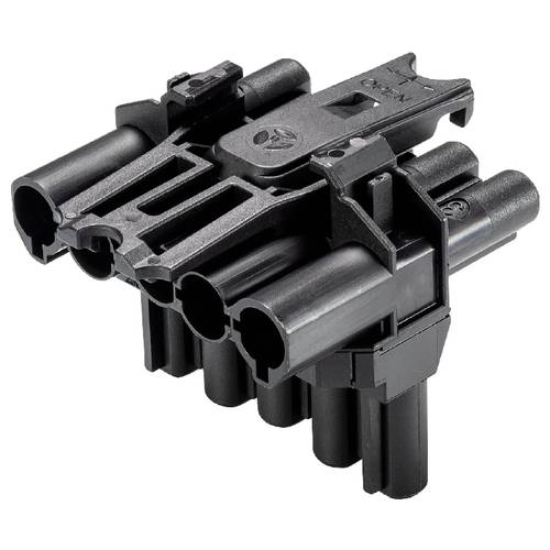 Wieland Electric 92.050.3053.1 Verteiler