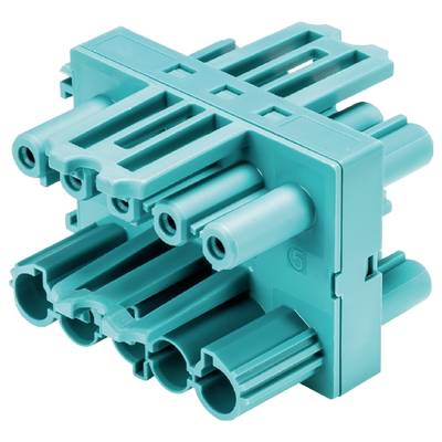 Ein blauer elektrischer Steckverbinder mit mehreren Buchsen, geeignet für industrielle Anwendungen und komplexe Verkabelungen.