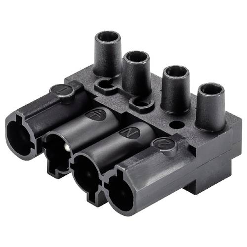 Wieland Electric 92.042.3353.1 Geräteanschluss