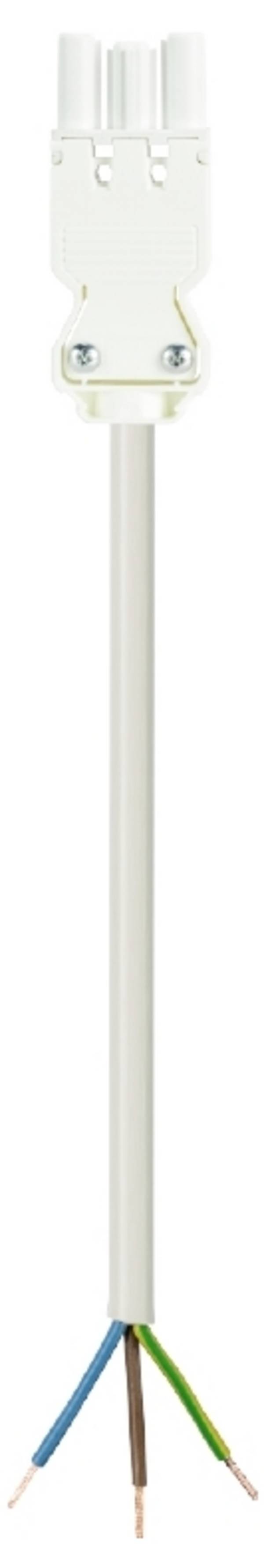 Wieland Electric 92.238.3003.2  Anschlussleitung  Weiß 3 m