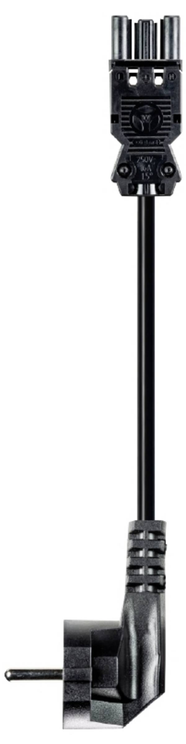 Wieland Electric 92.232.3007.1 Anschlussleitung Schwarz 3 m