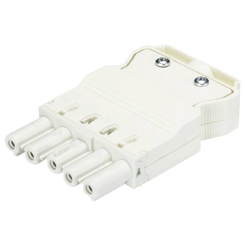 Wieland Electric 92.953.4053.0 Steckverbinder