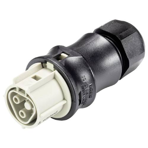 Wieland Electric 96.021.4050.8 Steckverbinder