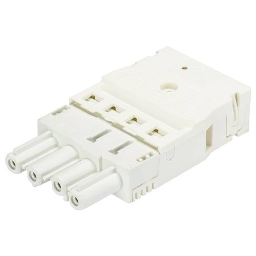 Wieland Electric 92.943.0053.0 Steckverbinder