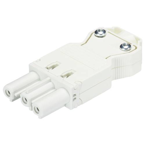 Wieland Electric 92.931.3053.0 Steckverbinder