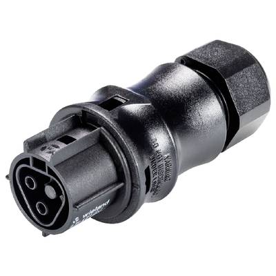 Ein schwarzer, zylindrischer Steckverbinder mit drei Steckplätzen, geeignet für industrielle Anwendungen.