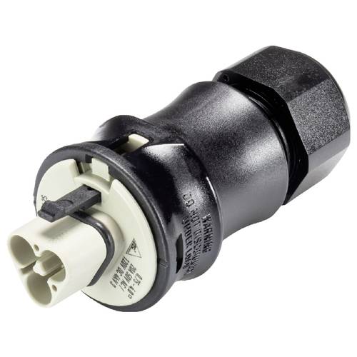 Wieland Electric 96.022.4950.8 Steckverbinder