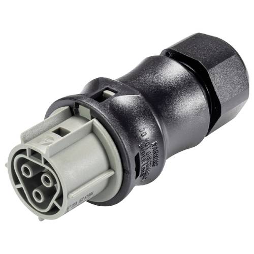 Wieland Electric 96.031.4054.3 Steckverbinder
