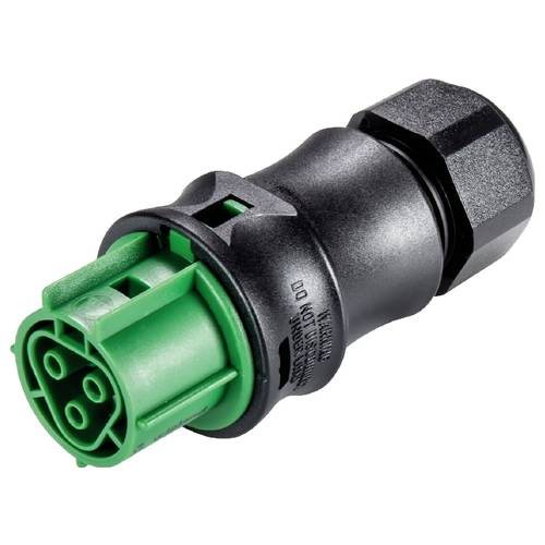 Wieland Electric 96.031.4055.7 Steckverbinder
