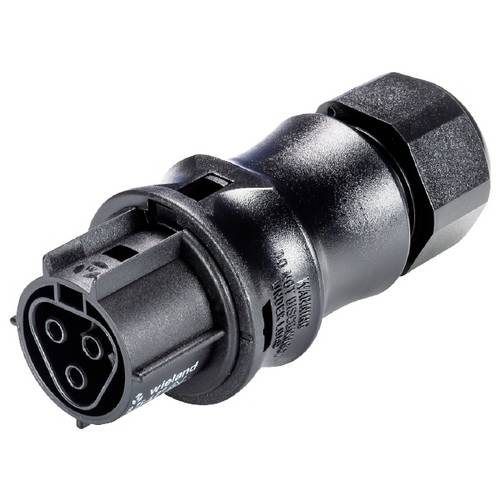 Thumbnail - Wieland Electric 96.031.4153.1 Steckverbinder Schwarz