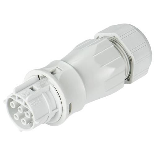 Wieland Electric 96.051.4553.0 Steckverbinder