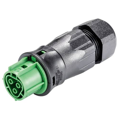 Wieland Electric 96.031.4555.7 Steckverbinder