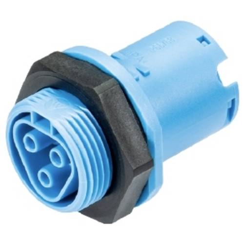 Wieland Electric 96.031.1053.9 Geräteanschluss