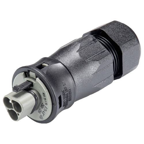 Thumbnail - Wieland Electric 96.032.4554.3 Steckverbinder