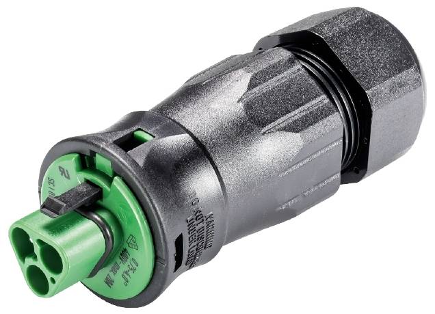 Wieland Electric 96.032.4555.7 Steckverbinder