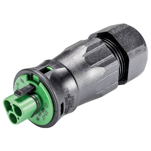Wieland Electric 96.032.4555.7 Steckverbinder