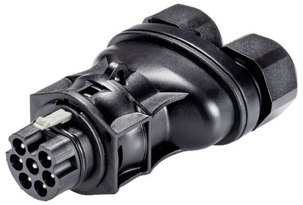 Wieland Electric 96.072.4253.1  Steckverbinder