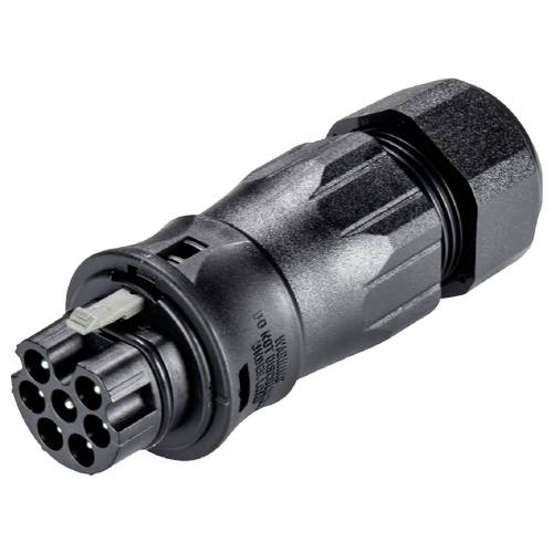 Wieland Electric 96.072.4853.1 Steckverbinder