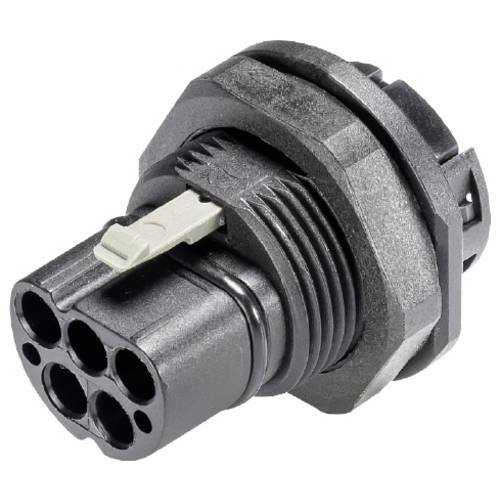 Wieland Electric 96.152.1053.1 Geräteanschluss