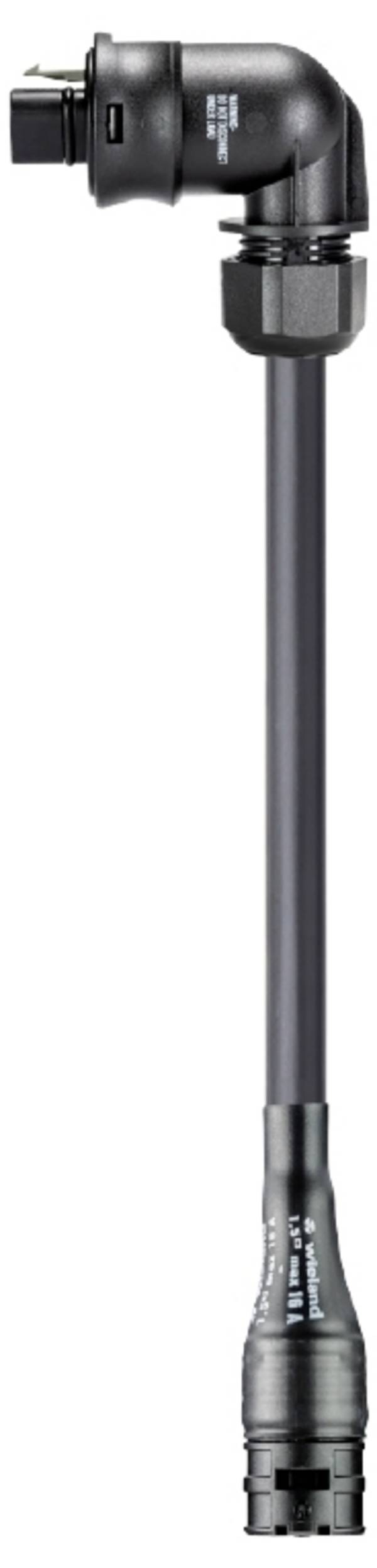 Wieland Electric 99.405.9999.7  Verbindungsleitung  Schwarz 3 m