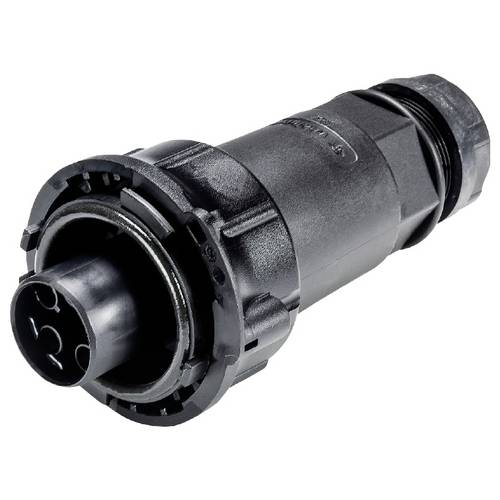 Wieland Electric 97.041.4053.1 Steckverbinder