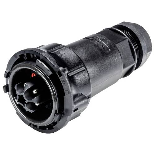 Wieland Electric 97.052.4053.1 Steckverbinder