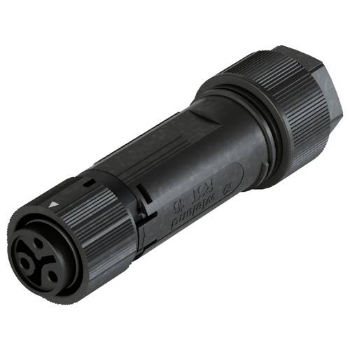 Wieland Electric 46.031.4453.1 Steckverbinder