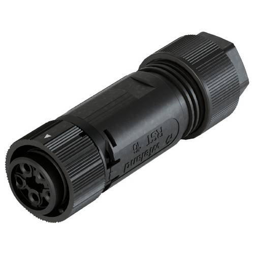 Wieland Electric 46.051.4154.1 Steckverbinder