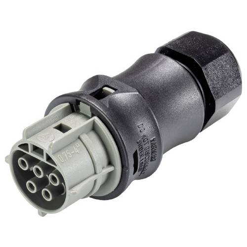 Wieland Electric 96.051.4054.3 Steckverbinder