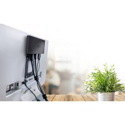 Ein Computerbildschirm von hinten, mit mehreren angeschlossenen Kabeln, steht auf einem Holztisch neben einer grünen Pflanze im Topf.