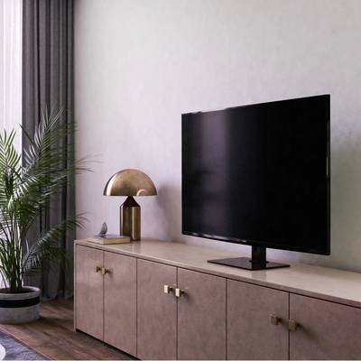 Ein Wohnzimmer mit einem Fernseher auf einem Sideboard. Links steht eine Zimmerpflanze, daneben eine Lampe.