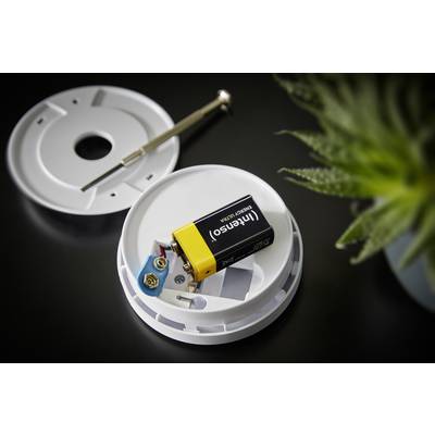 Ein geöffneter Rauchmelder zeigt ein eingelegtes Rechteck-Batterie-Modul. Im Hintergrund liegen ein Schraubendreher und eine Pflanze.