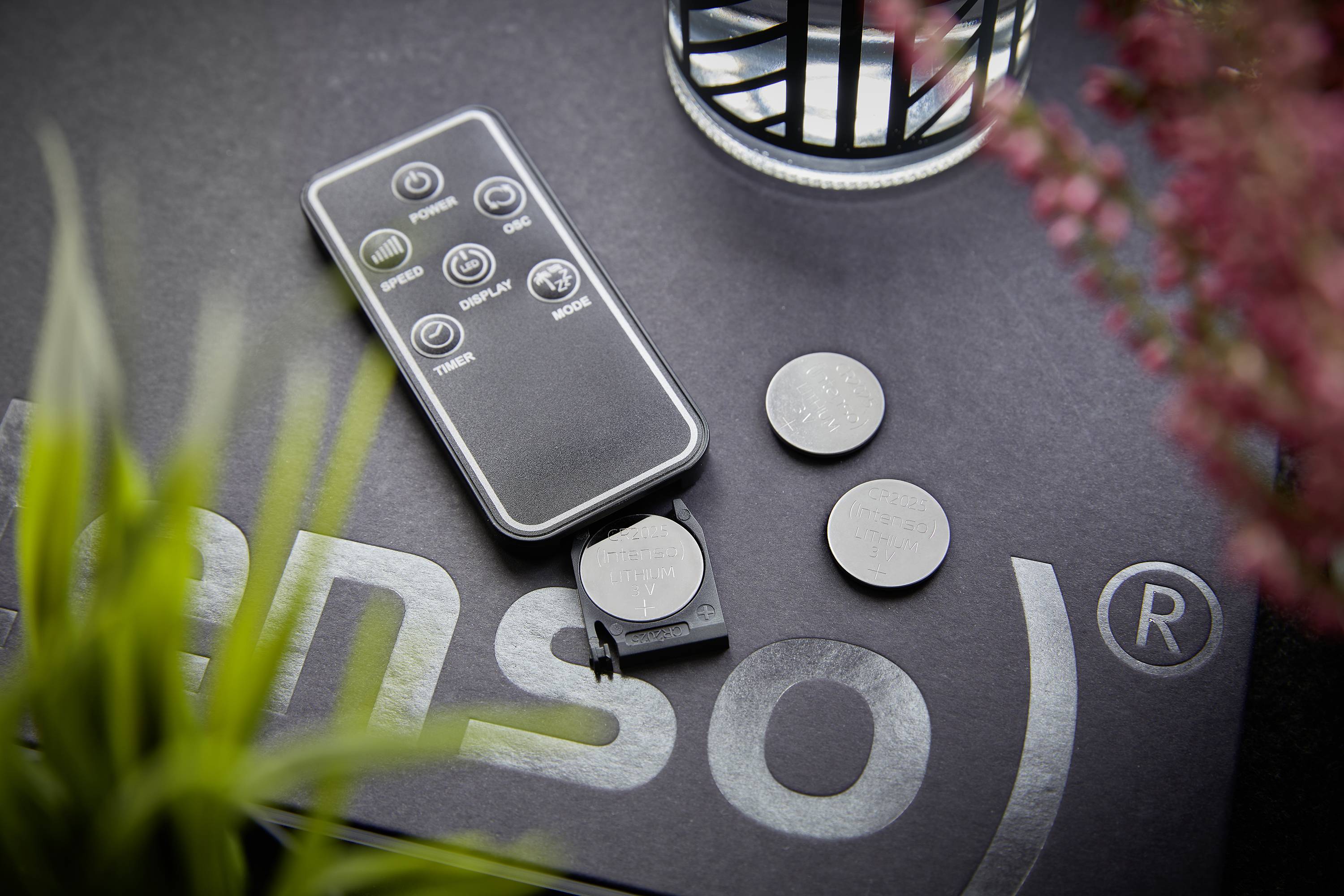 Fernbedienung mit Batteriefach offen und zwei Knopfzellen daneben auf grauem Untergrund. Eine Pflanze und rosa Blumen sind im Vordergrund.