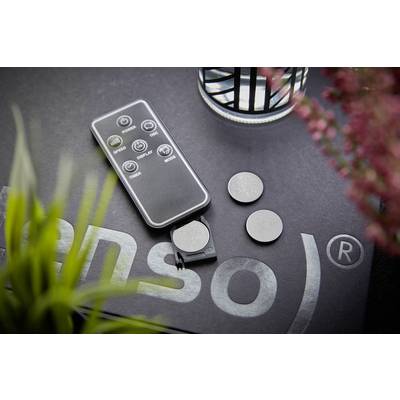 Fernbedienung mit Batteriefach offen und zwei Knopfzellen daneben auf grauem Untergrund. Eine Pflanze und rosa Blumen sind im Vordergrund.
